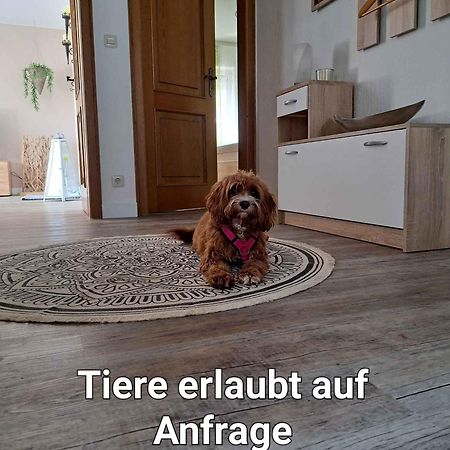 Ferienwohnung Blumenau Schmallenberg Zewnętrze zdjęcie